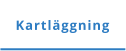 Kartläggning
